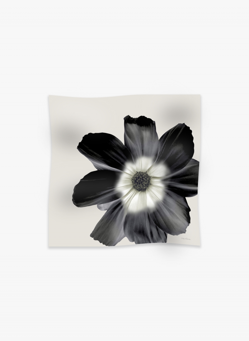 Maxi foulard in puro cashmere con fiore grigio