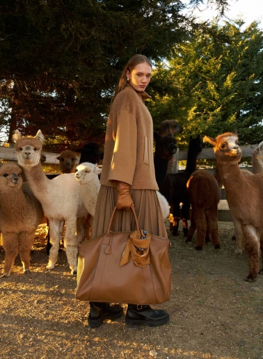 Reisetasche aus Leder in Tabak