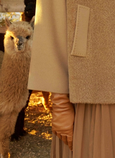 Kurzmantel mit kontrastreicher Stoffstruktur aus Wolle und Alpaka in dark Camel
