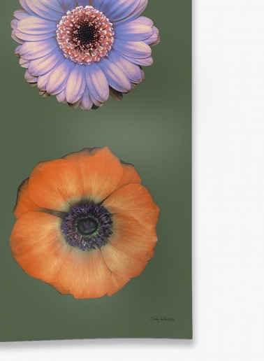 Schal mit Blumenmuster aus reinem Seidentwill in Grün