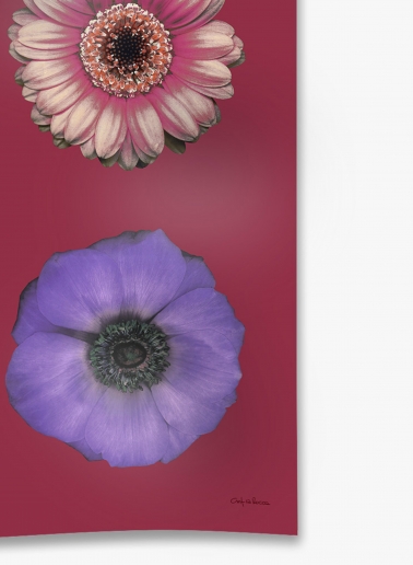 Schal mit Blumenmuster aus reinem Seidentwill in Rosa