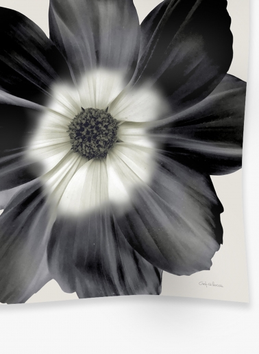 Maxi grey pure cashmere scarf with flower